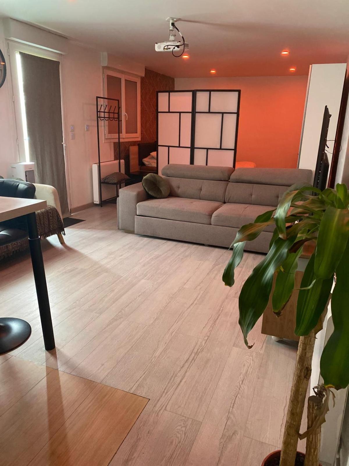 Grand studio 40m2 chaleureux - Jacuzzi Tremblay-en-France Esterno foto